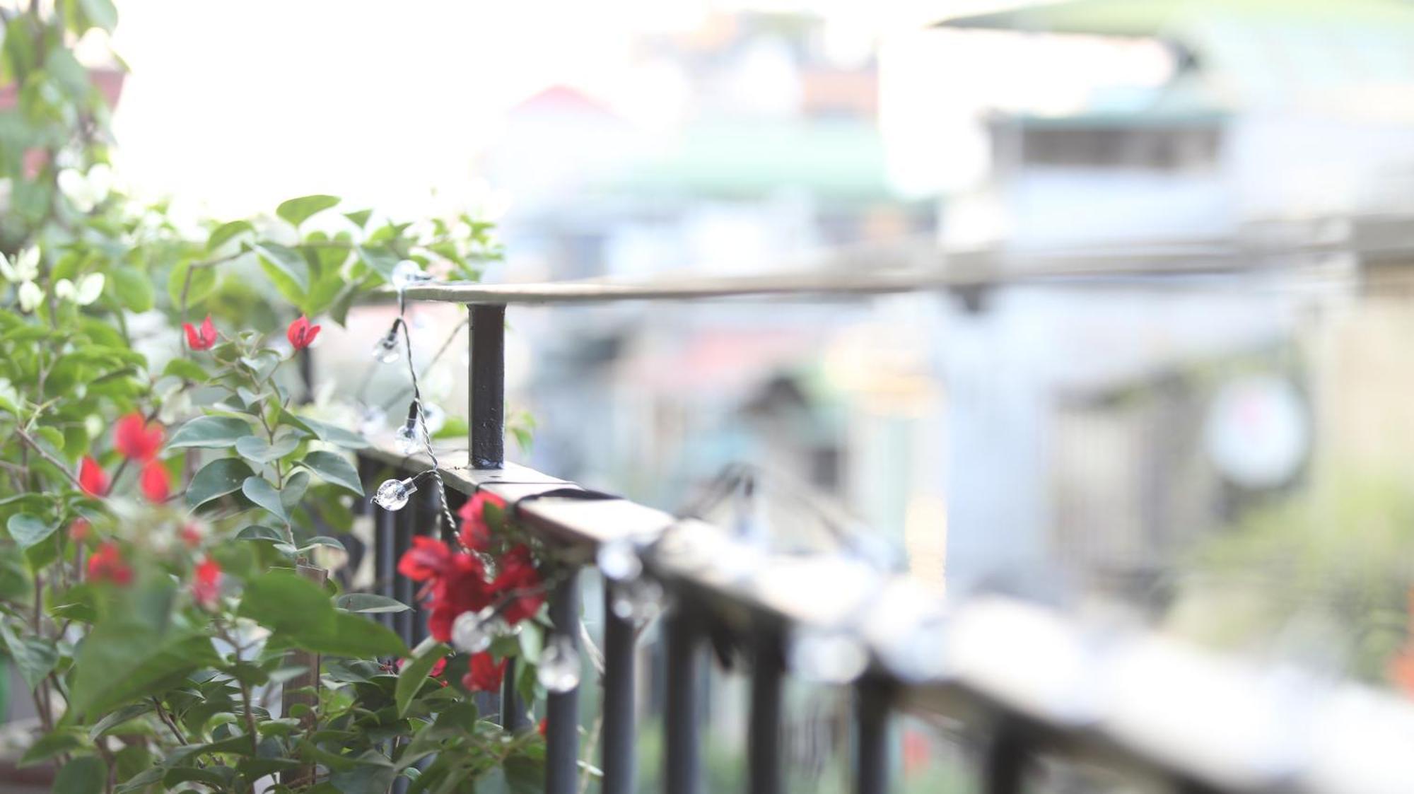 Vietnam Travelers 1 With Cozy Private Balcony *